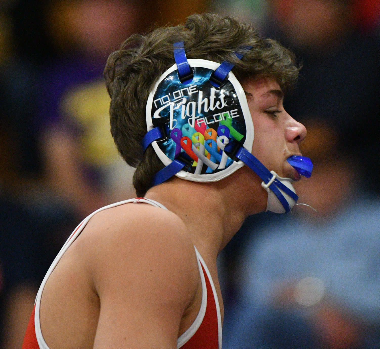 Class 1A Sherrard Wrestling Regional
